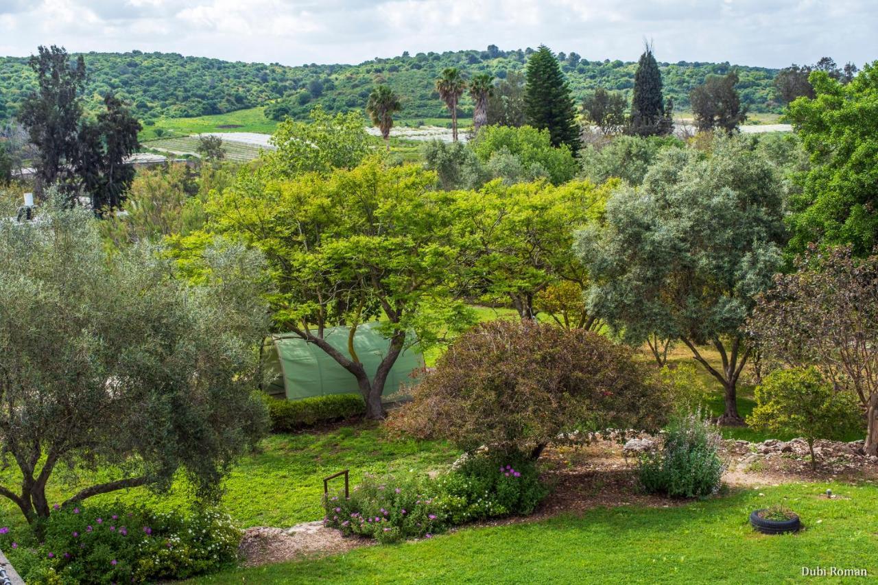 Вилла Amikam Meshek 81 משק 81 עמיקם Экстерьер фото