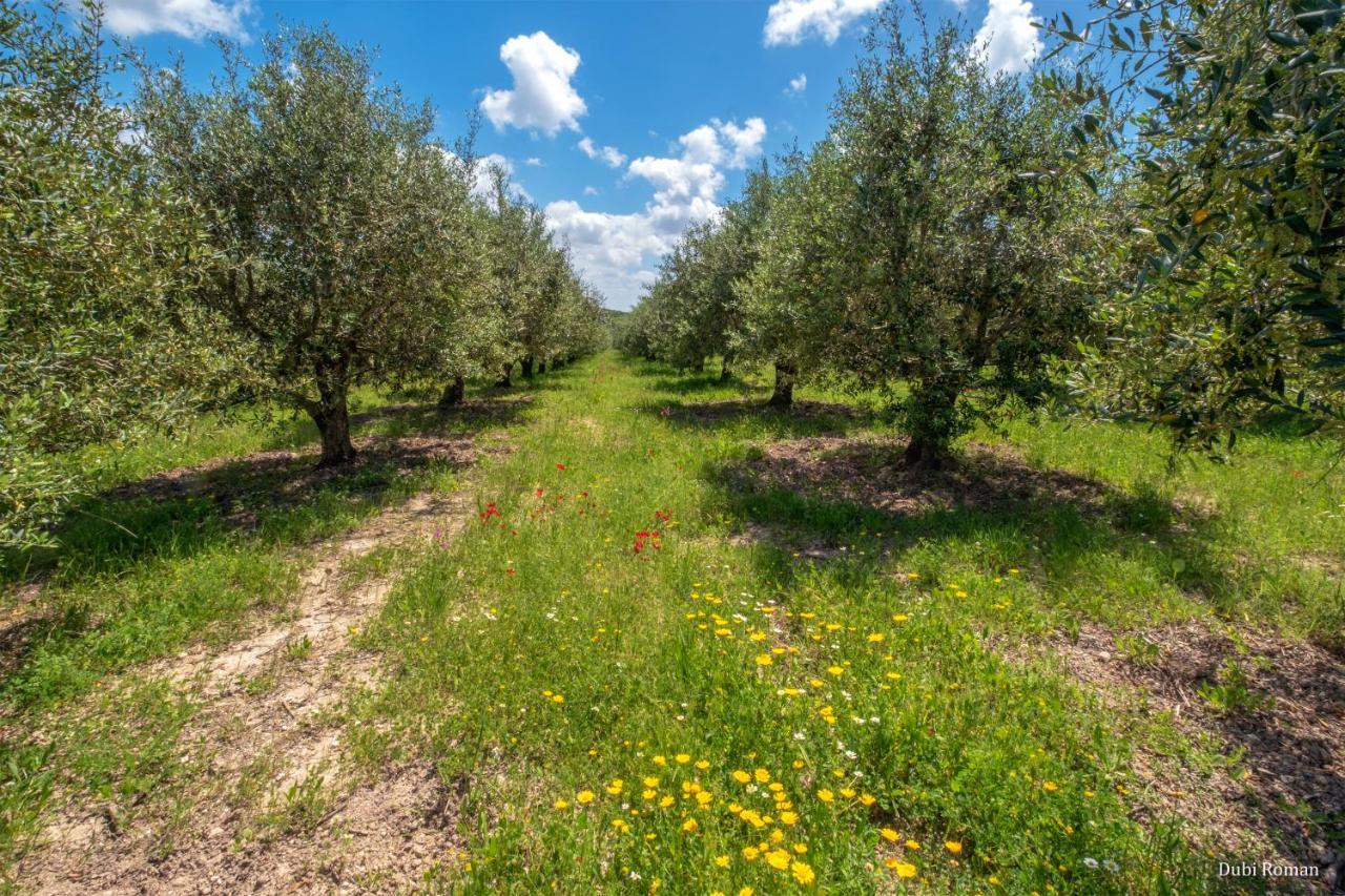 Вилла Amikam Meshek 81 משק 81 עמיקם Экстерьер фото