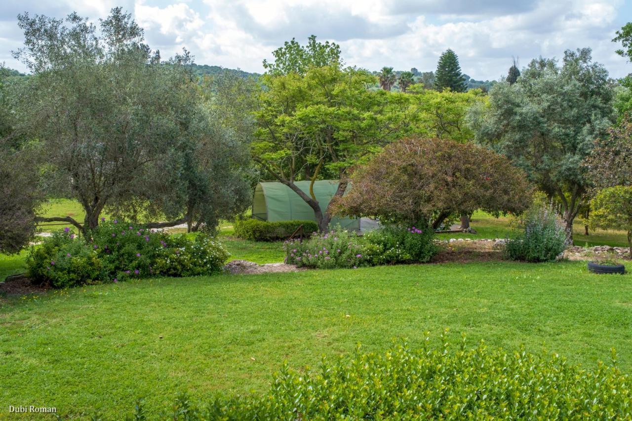 Вилла Amikam Meshek 81 משק 81 עמיקם Экстерьер фото
