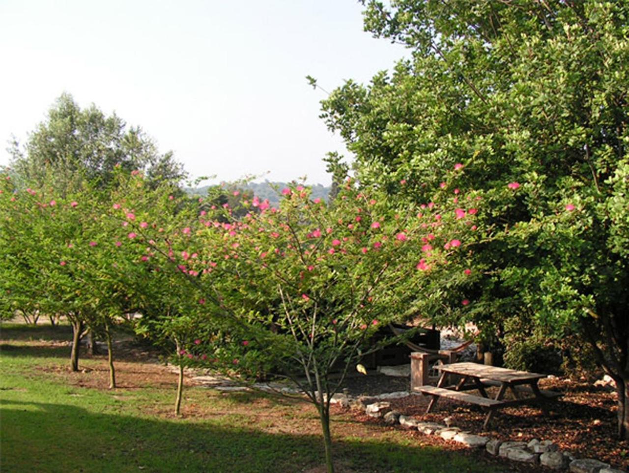 Вилла Amikam Meshek 81 משק 81 עמיקם Экстерьер фото